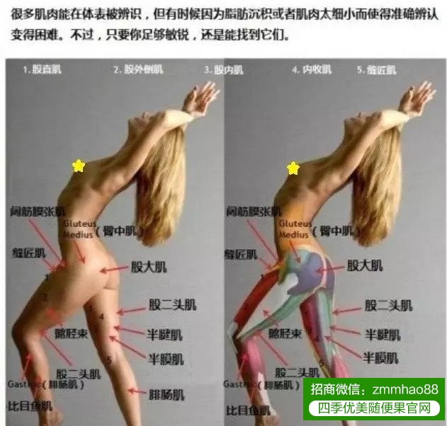 体重一样，为何你显胖？？？看完吓一跳