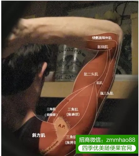 体重一样，为何你显胖？？？看完吓一跳