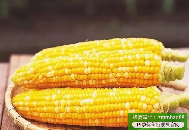 四季优美随便果：有哪些可以代替米饭的减肥主食？